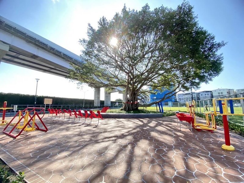 板橋大樹公公園